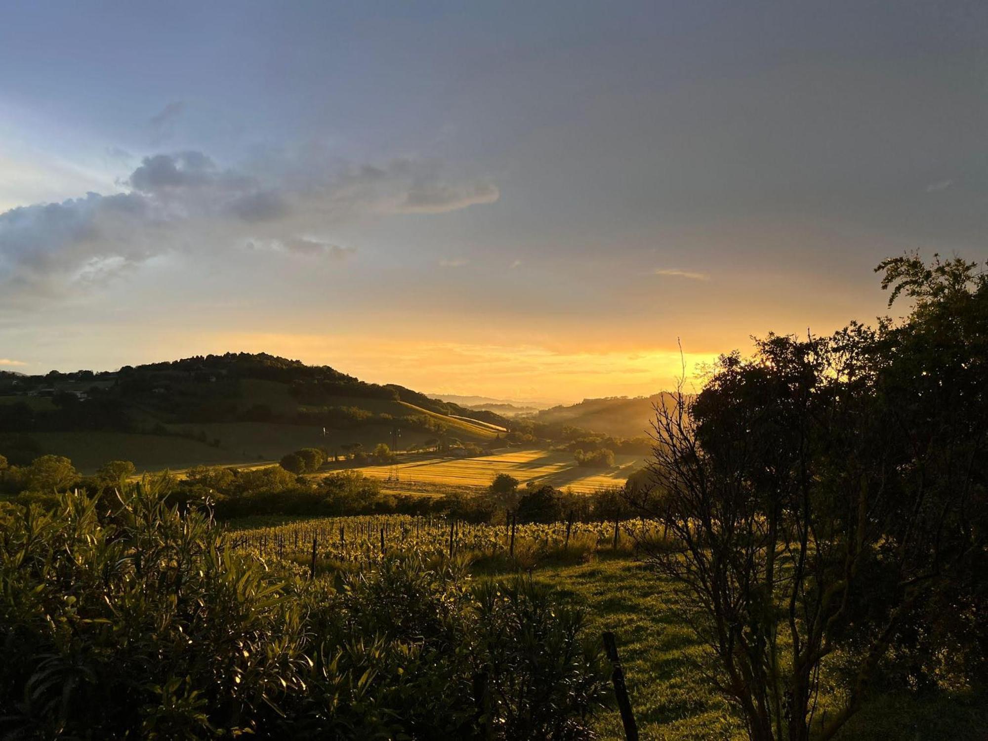 فيلا Agriturimo Ca Dorale فانو المظهر الخارجي الصورة