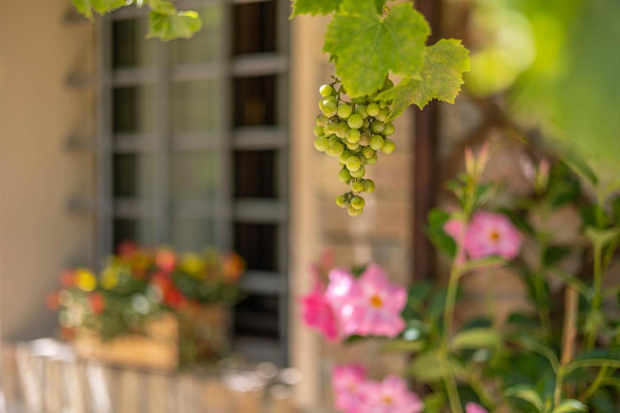 فيلا Agriturimo Ca Dorale فانو المظهر الخارجي الصورة